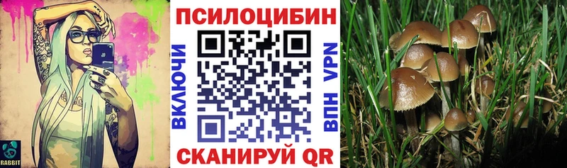 Галлюциногенные грибы Magic Shrooms  ОМГ ОМГ вход  Горно-Алтайск 