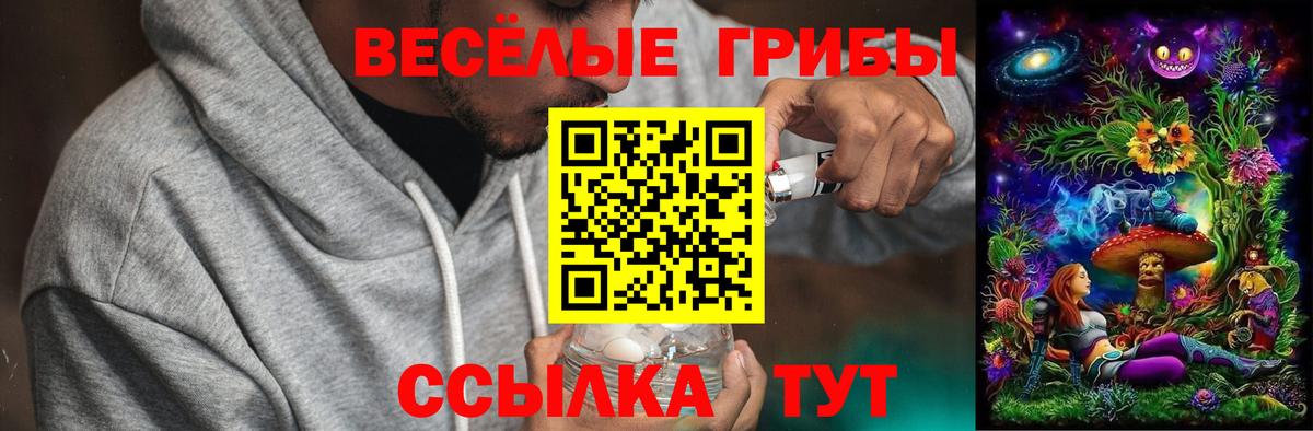Горно-Алтайск  Галлюциногенные грибы Magic Shrooms  Вход с VPN 