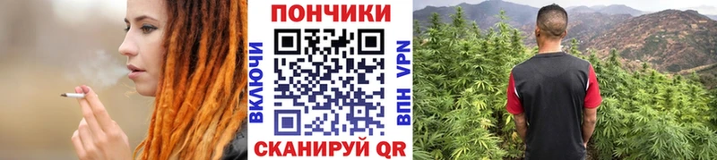 МЕГА купить наркотики цена Горно-Алтайск Марихуана планчик
